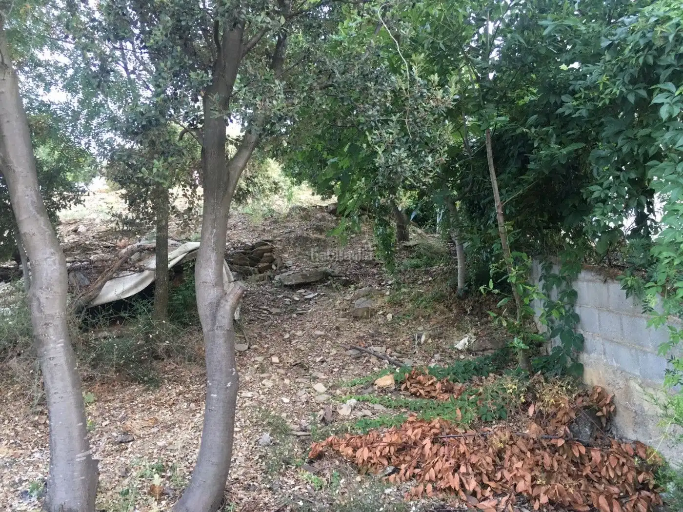 Terreny residencial en venda a Carrer de la Ginesta 42, imagen 10