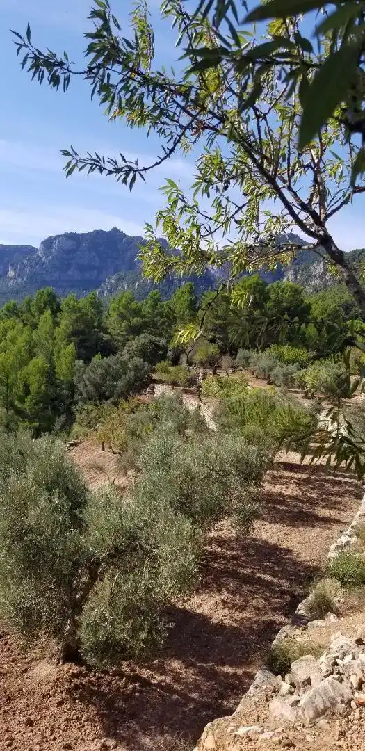 Finca rústica en venda en Amposta