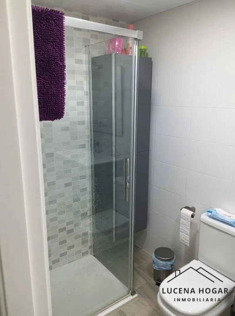 Bathroom of Flat for sale in Jardin Lucena