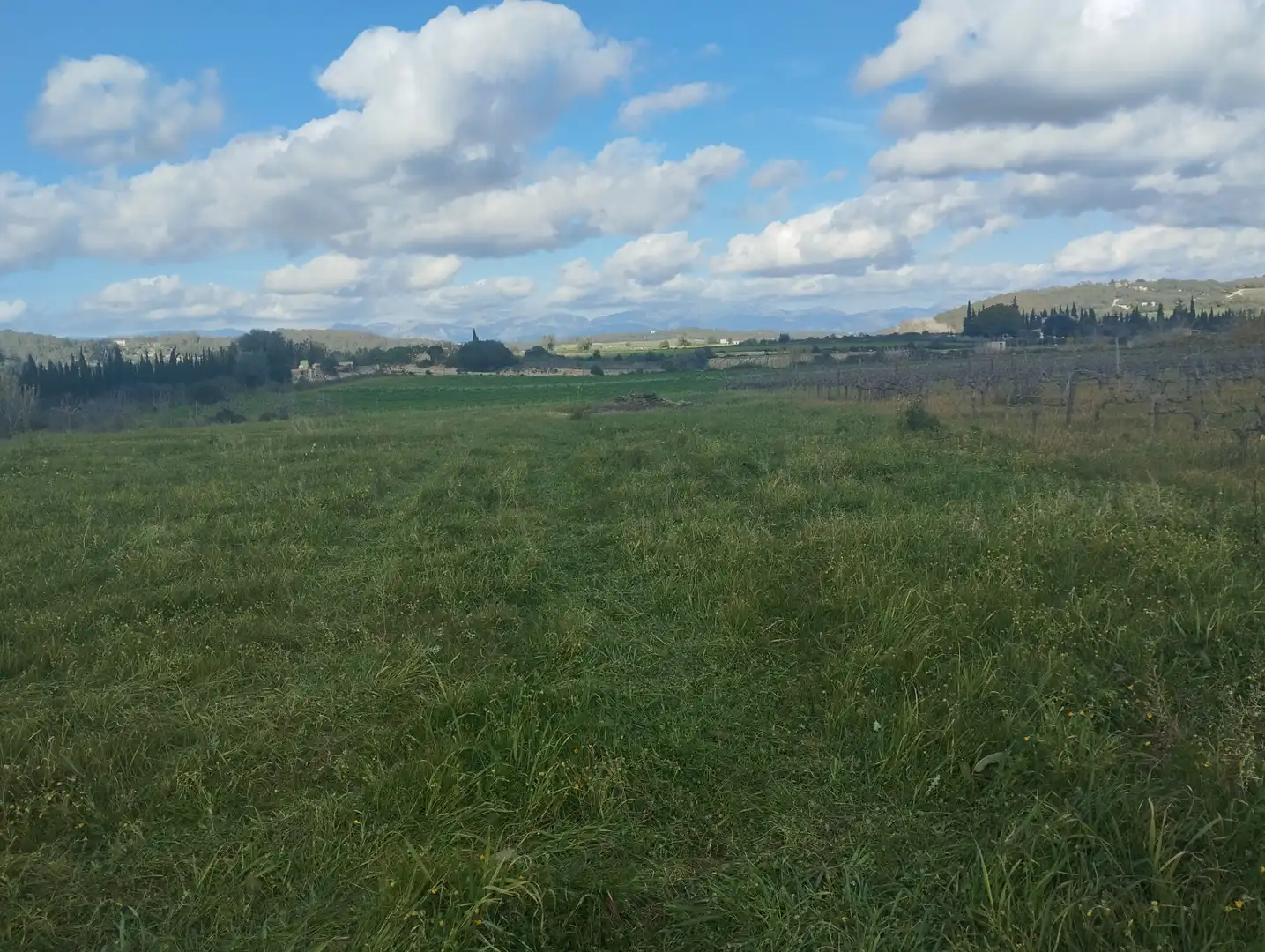 Terrain résidentiel à vendre à Algaida, imagen 9