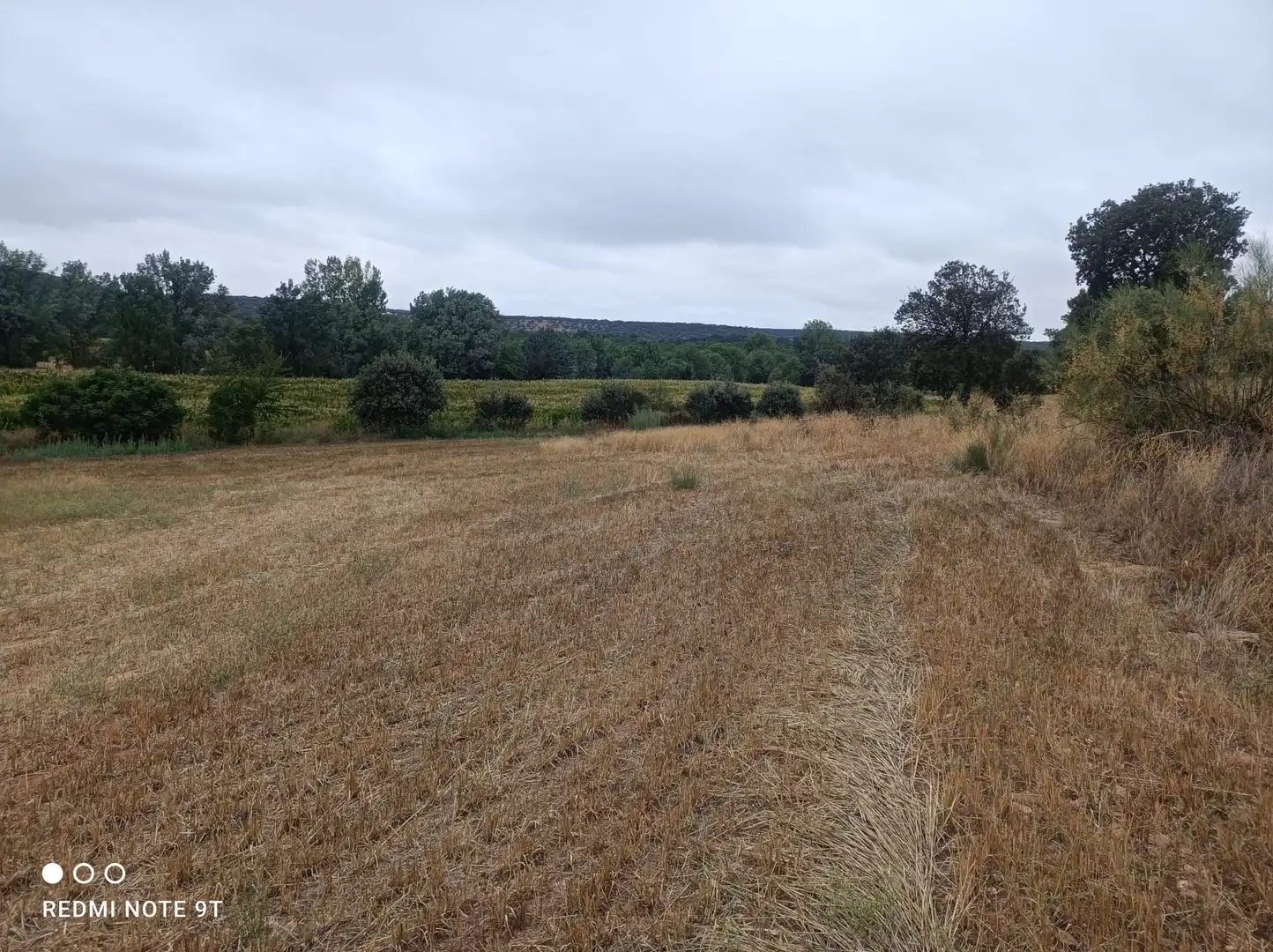 Terreno rústico en venta en Ronda de Serradilla 10, imagen 4