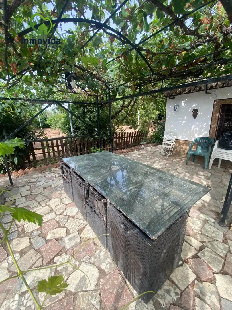 Houses for sale in La Carlota