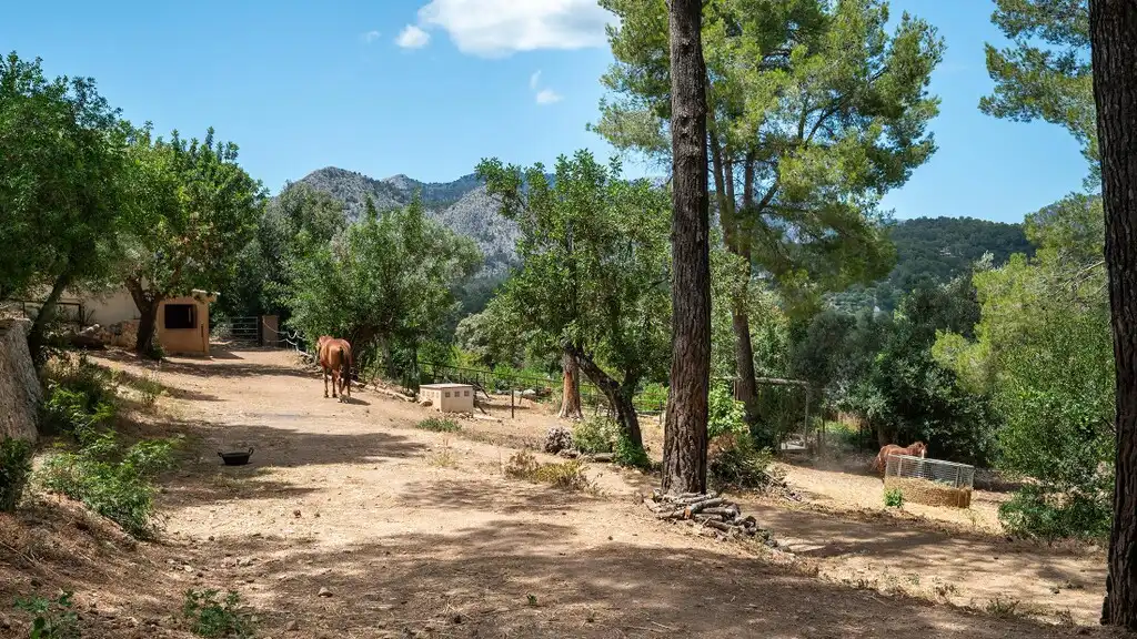 Country house for sale in Bunyola, imagen 33