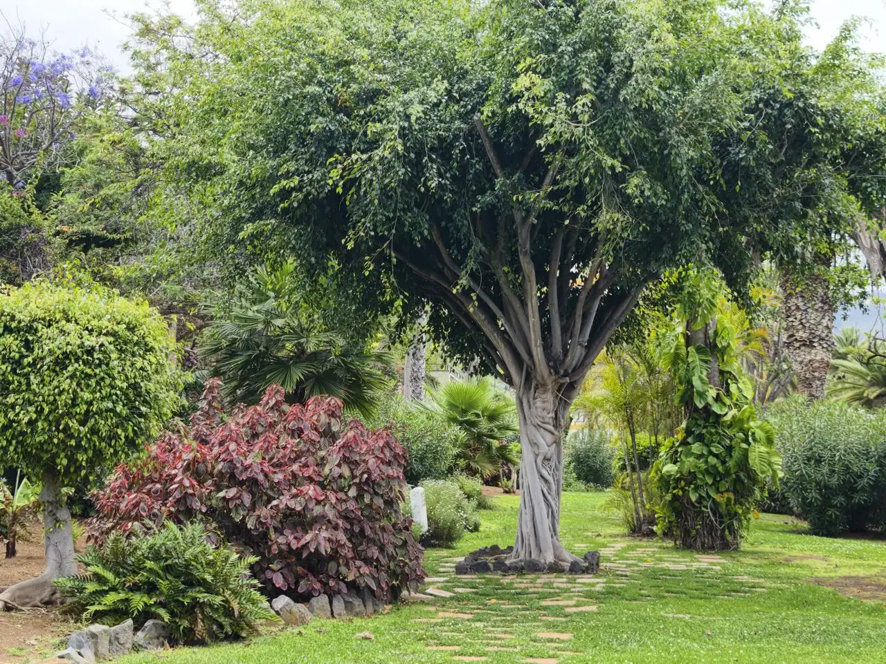 Jardí de Estudi en venda en Los Realejos amb Piscina i Moblat