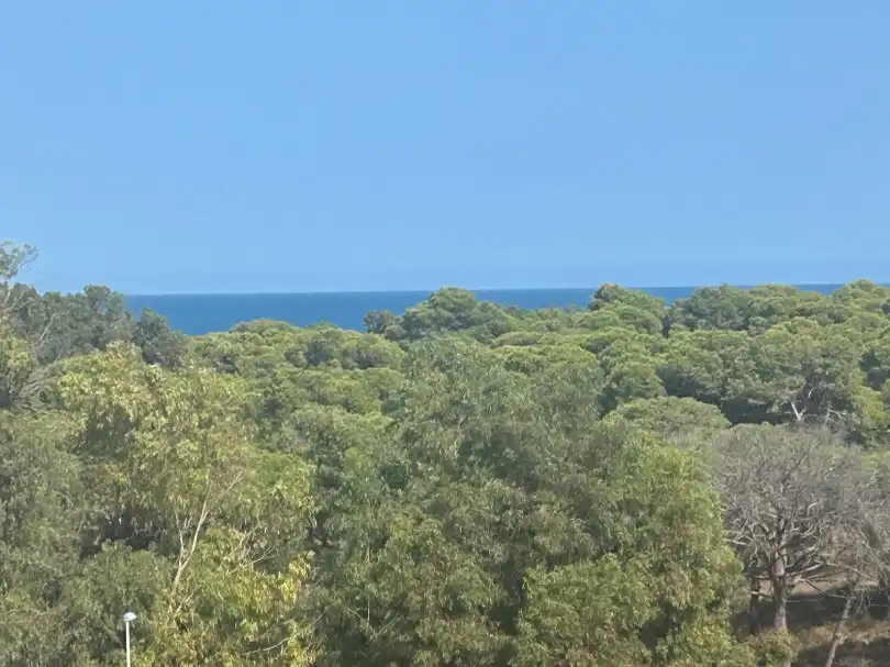 Pis amb piscina en venda a avenida del puerto 33, imagen 3