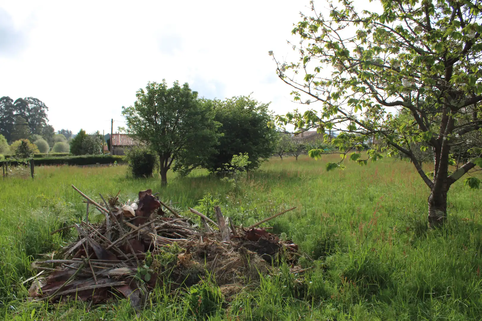 Casa o xalet en venda en Villaviciosa amb Calefacció, Jardí privat i Terrassa
