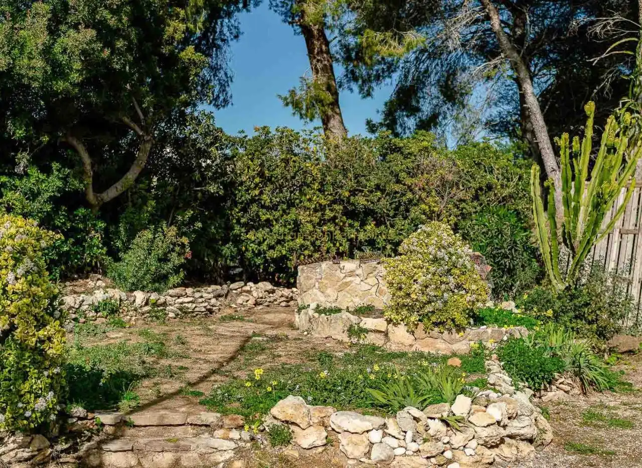 Garden of Houses for sale in Alicante / Alacant