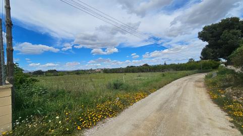 Foto 2 de Residencial en venta en Partida Valverde Bajo, 9014, Valverde, Elche / Elx