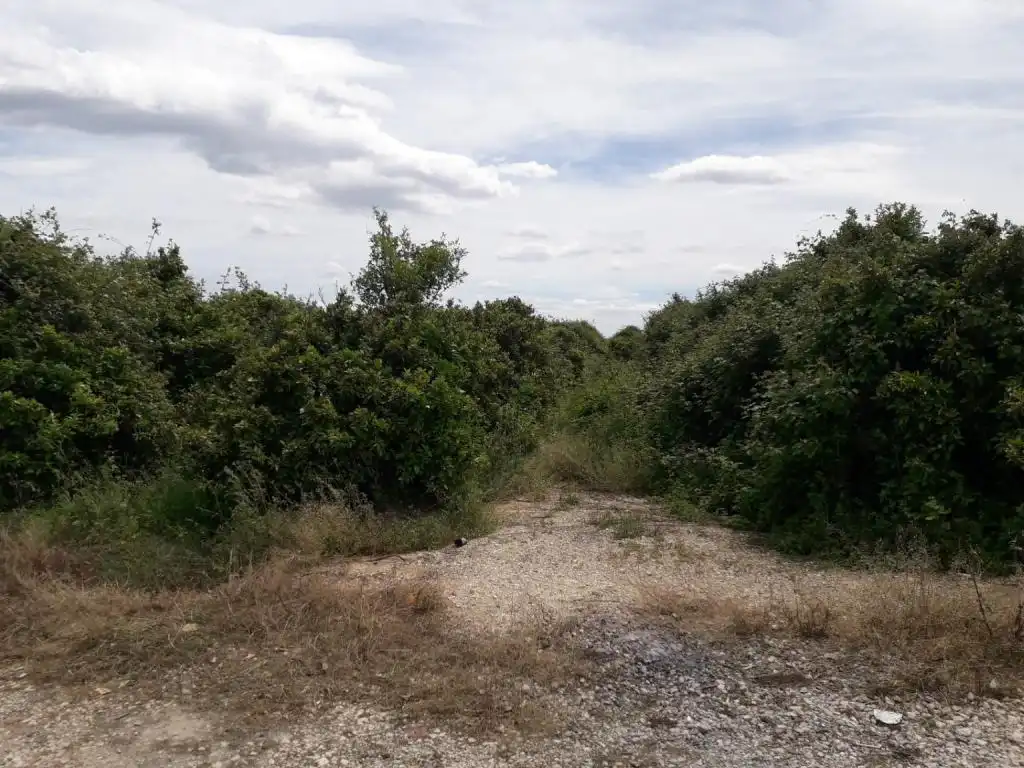 Terrain rustique à vendre à REALENGO, imagen 4
