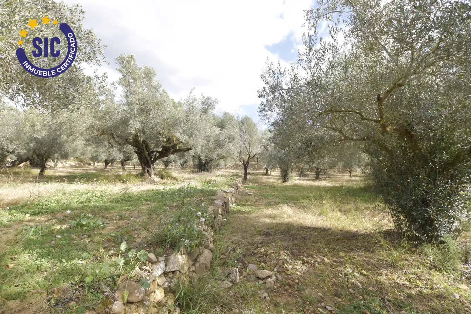 Land for sale in Jérica