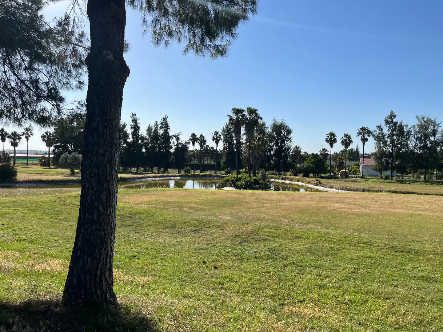 Vista exterior de Casa o chalet en venta en Aznalcázar con Aire acondicionado, Calefacción y Jardín privado