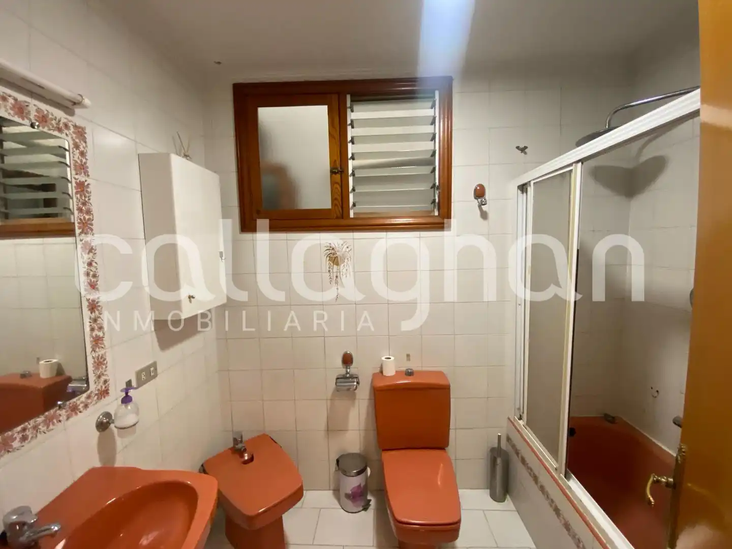 Baño de Dúplex en venta en Nules