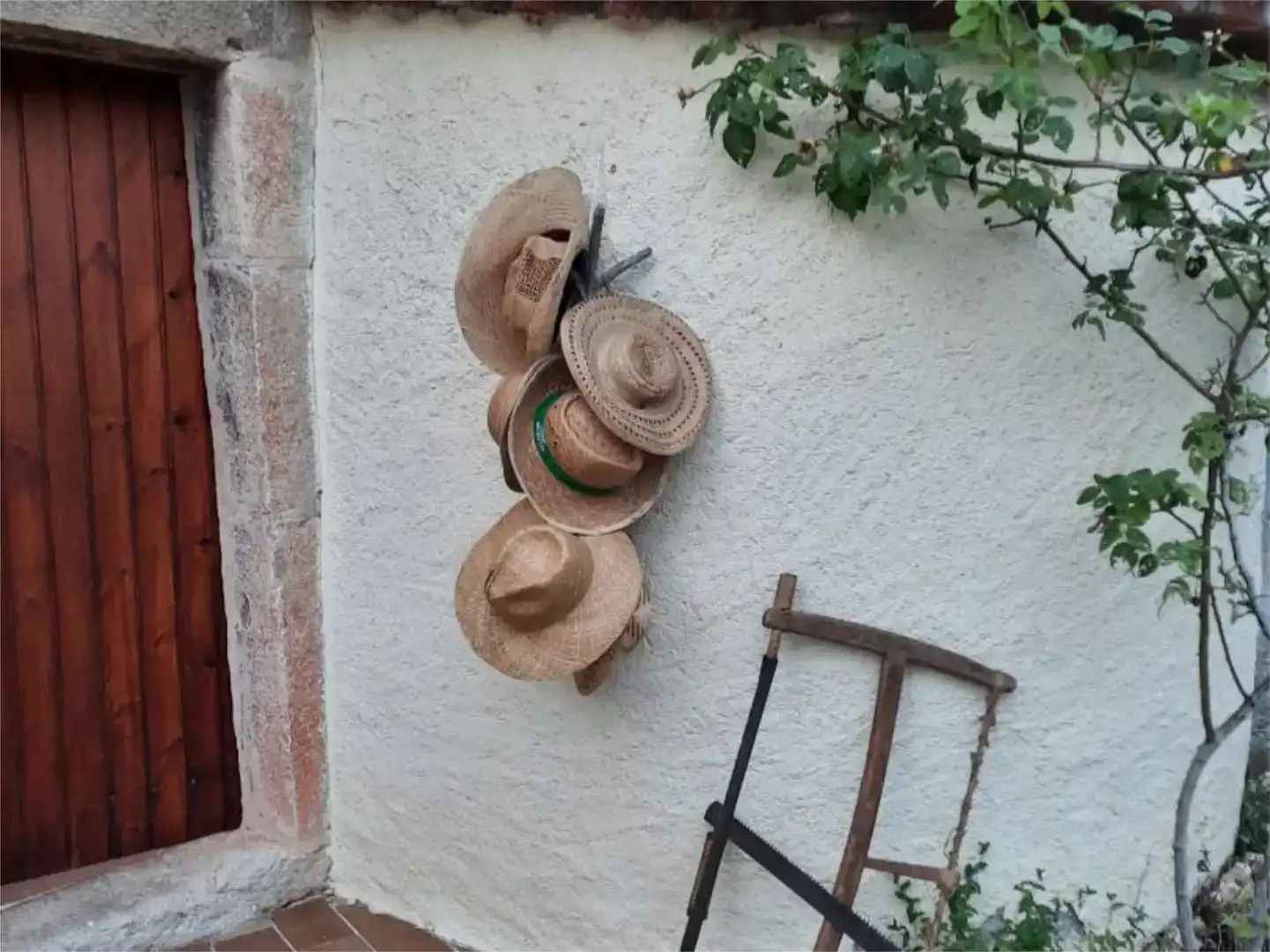 Jardí de Finca rústica en venda en Sant Gregori