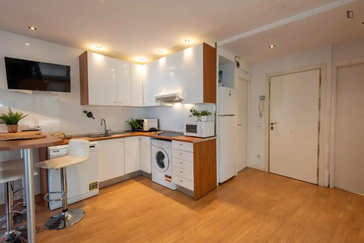 Apartments for rent in Madrid, Madrid