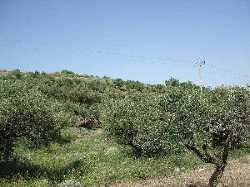 Terreny rústic en venda a Villamediana de Iregua, imagen 3