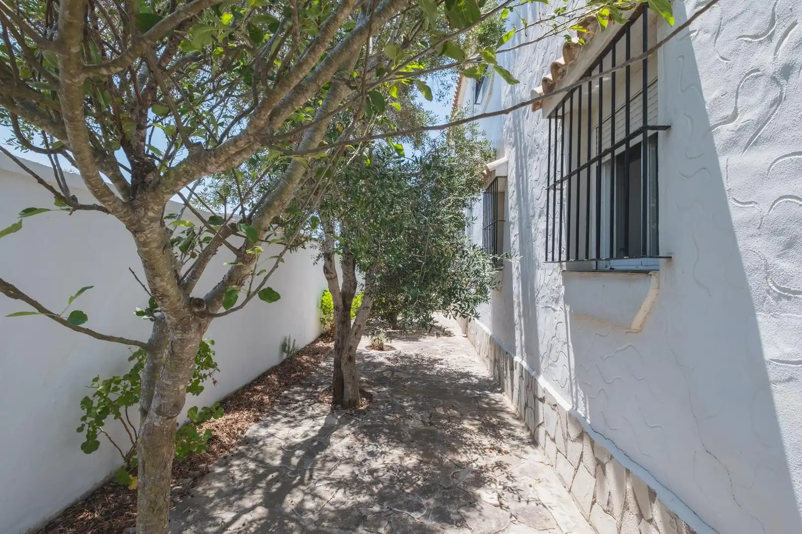 Exterior view of Country homes for sale in Barbate  with Private garden, Terrace and Storage room