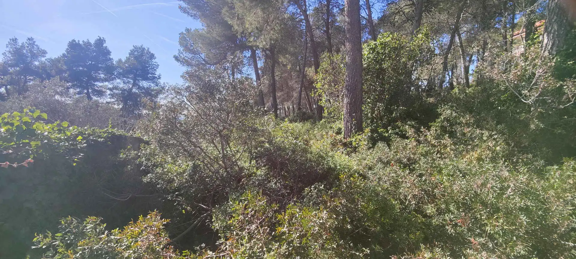 Terreny residencial en venda a Olesa de Bonesvalls, imagen 13