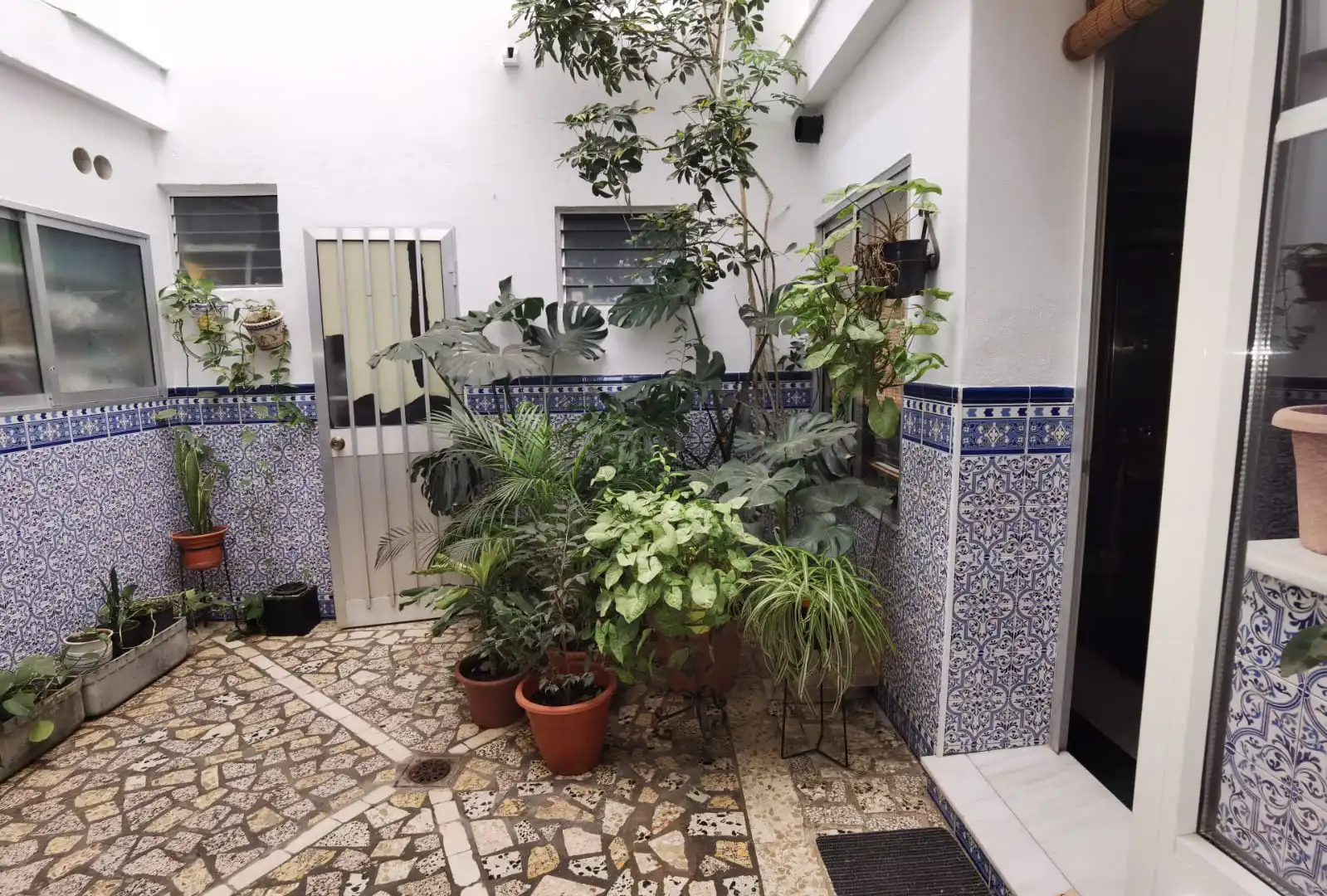 Jardí de Edifici en venda en La Antilla