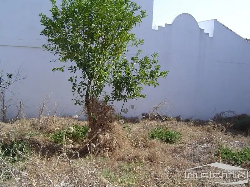 Terrenos y solares en venta en Navas del Sepillar, imagen 11