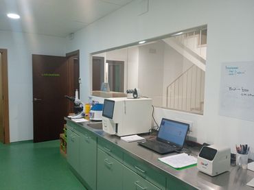 Gewerbefläche zum Verkauf in C/Ciutat Real 76b
