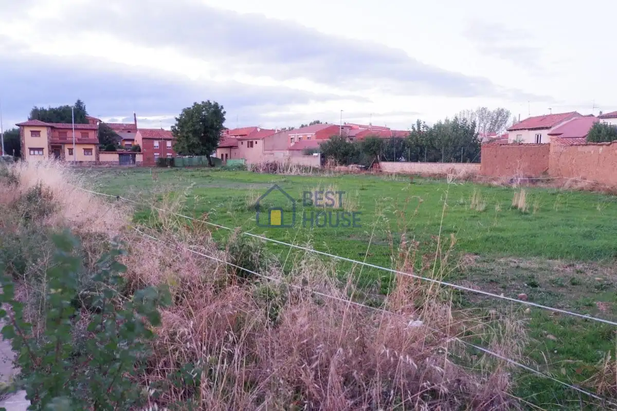 Lands and plots for sale in Armunia, imagen 8