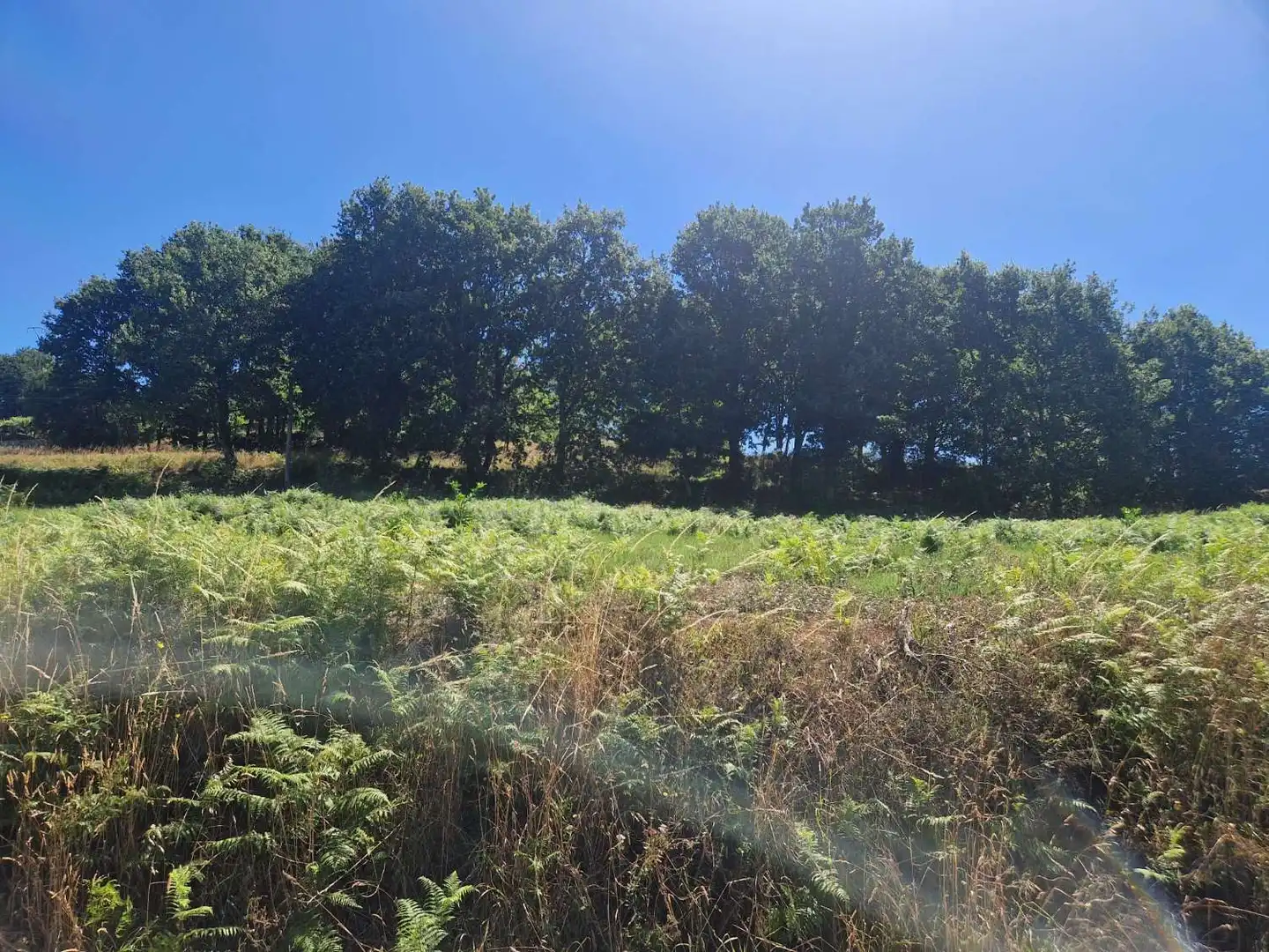 Terrenos y solares en venta en Negreira, imagen 5