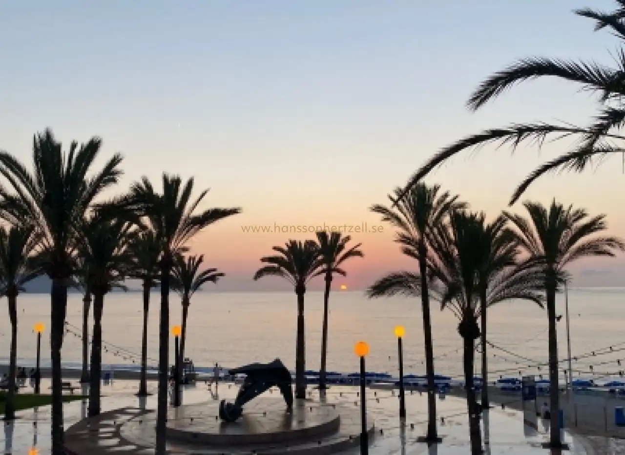 Exterior view of Houses for sale in Alicante / Alacant
