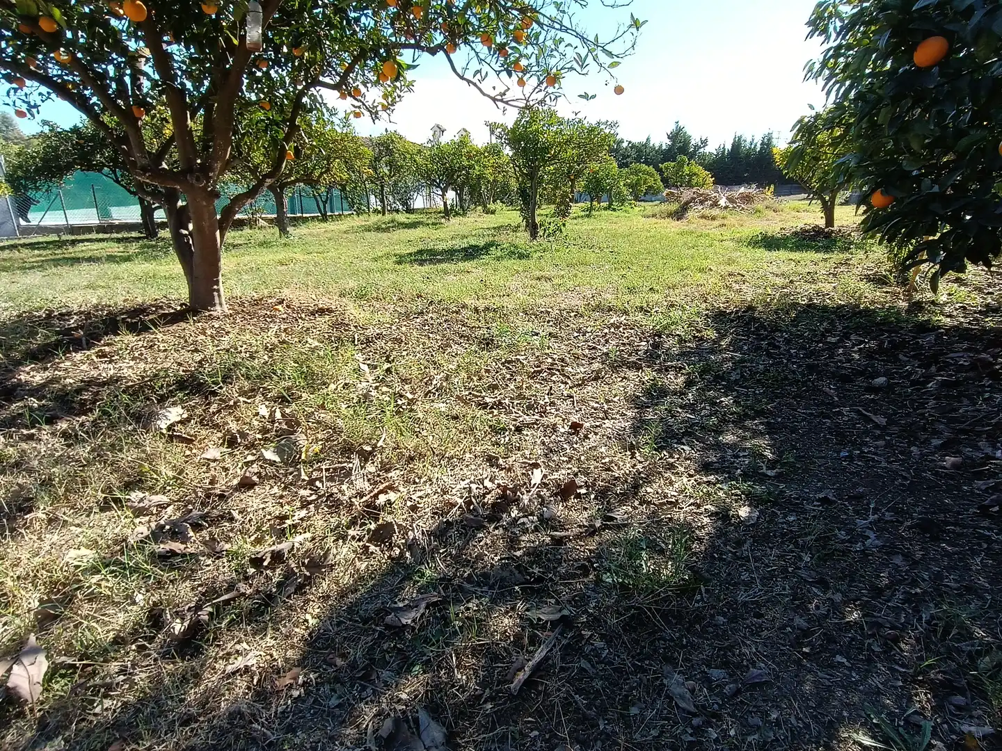 Finca rústica en venta en Estepona con Jardín privado, Terraza y Amueblado