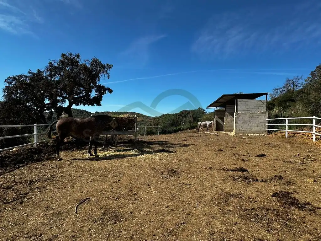Casa rústica en venda a Almogía, imagen 35