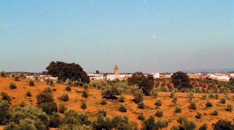 Photo 5 of Industrial buildings for sale in Calle D O P Montoro, 21, Adamuz, Córdoba
