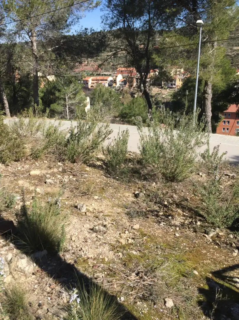Terrenos y solares en venta en Monistrol de Montserrat, imagen 7