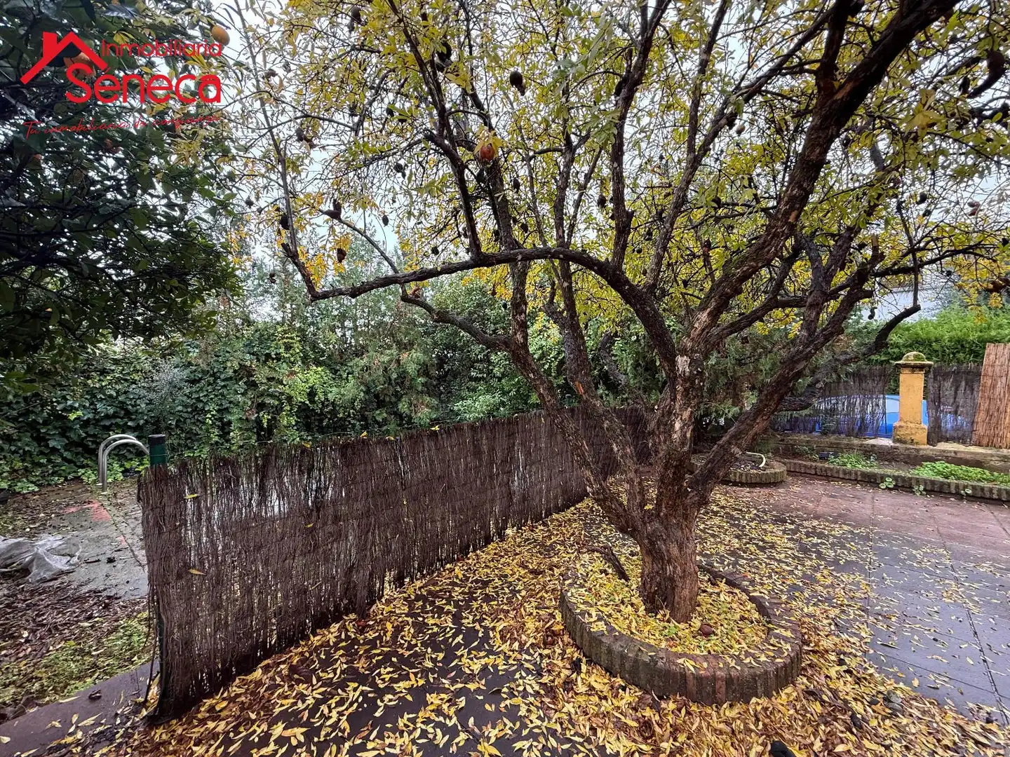 Garden of Houses for sale in Córdoba  with Swimming Pool