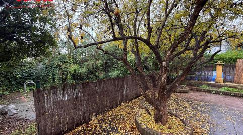 Photo 5 of House or chalet for sale in El Brillante -El Naranjo - El Tablero, Córdoba