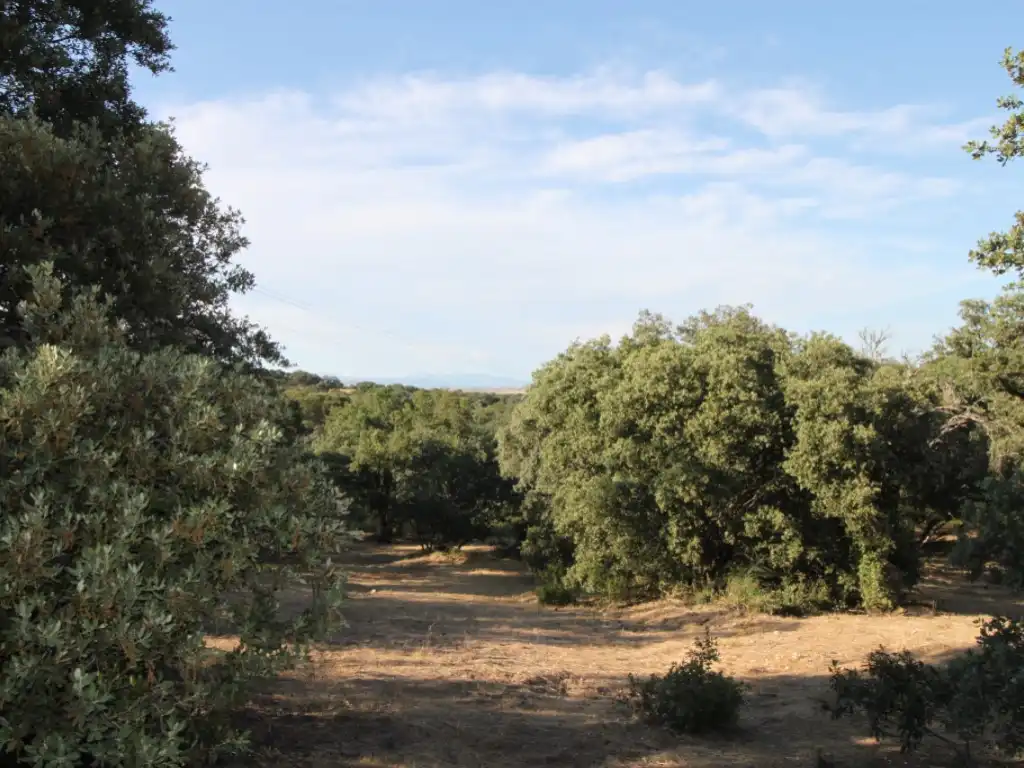 Residential land for sale in Ciudalcampo, imagen 10