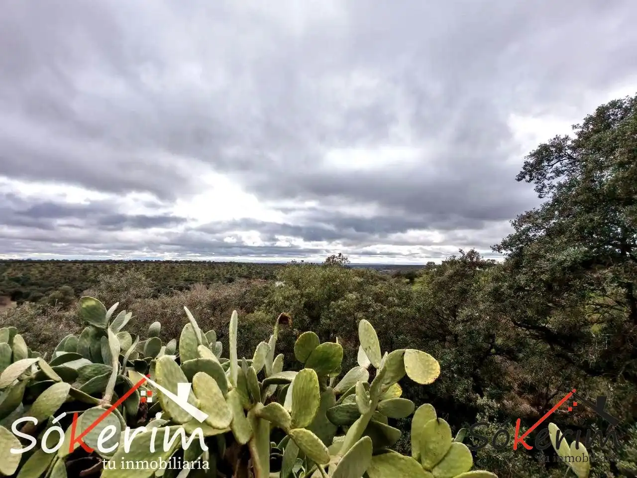 Piso en venta en San Román de los Montes con Calefacción, Jardín privado y Terraza