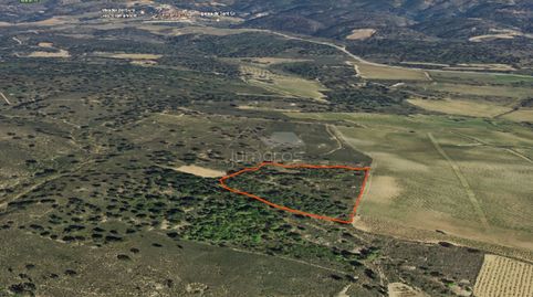 Se vende terreno rústico de uso agrícola de 17.542 m2 en Garriguella, en un entorno tranquilo entre la montaña y el campo.Actualme, imatge 4