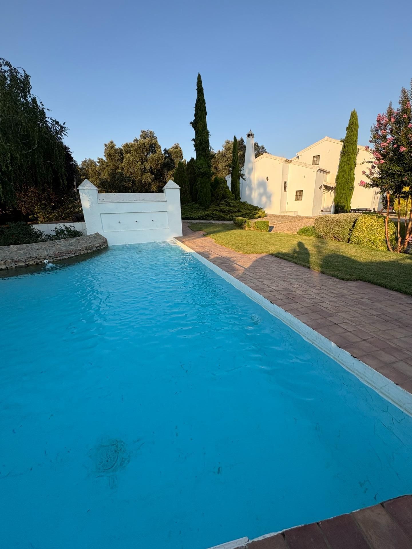 Swimming pool of Country homes for sale in Constantina  with Private garden, Parquet flooring and Swimming Pool