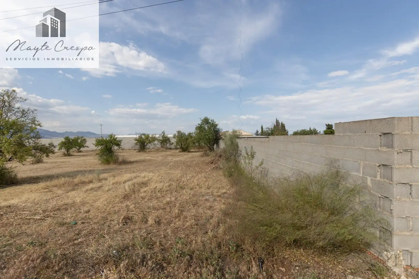 Rural land for sale in Moraleda de Zafayona, imagen 10