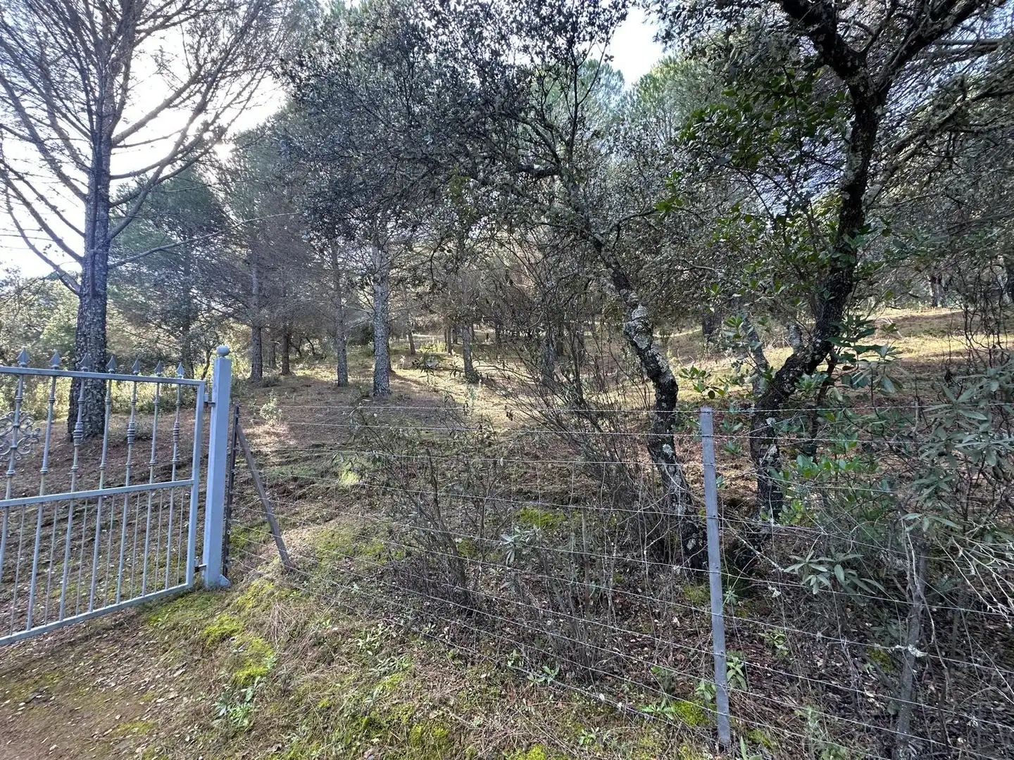 Casa o chalet en venta en Villaviciosa de Córdoba con Calefacción, Jardín privado y Terraza