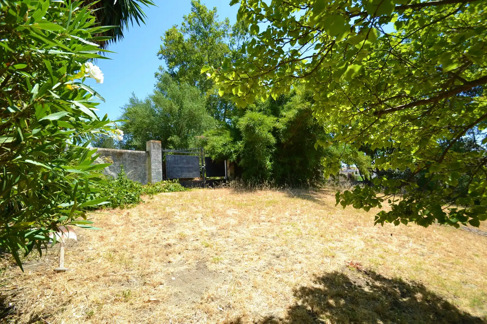 Terreno residenziale in vendita a San Pedro de Alcántara, imagen 2
