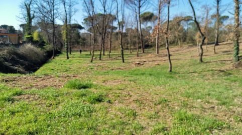 VENTA TERRENO URBANO EN SILS, ZONA URB. VALLCANERA, immagine 2