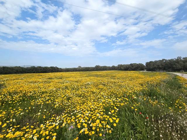 Terreno en Venta en Sant Jordi