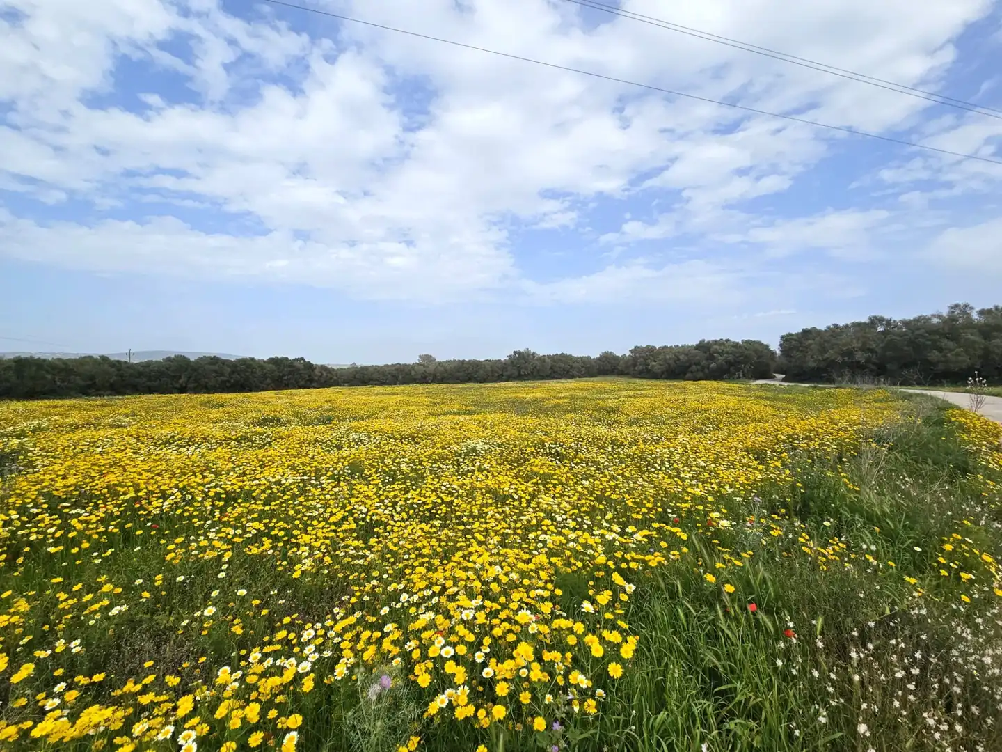 Land for sale in  Palma de Mallorca
