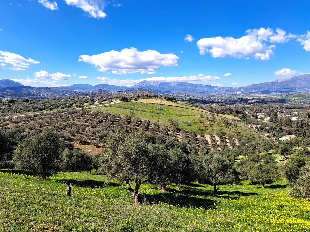 Terreni e lotti in vendita a Coín, imagen 4
