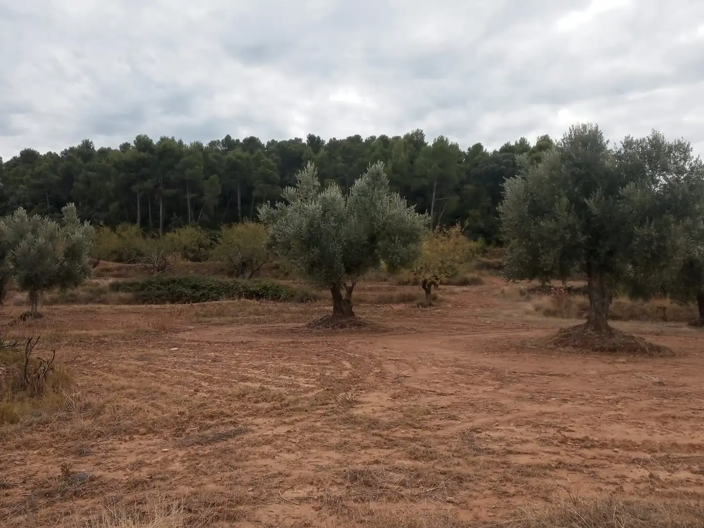 Terreni e lotti in vendita a La Fresneda, imagen 2