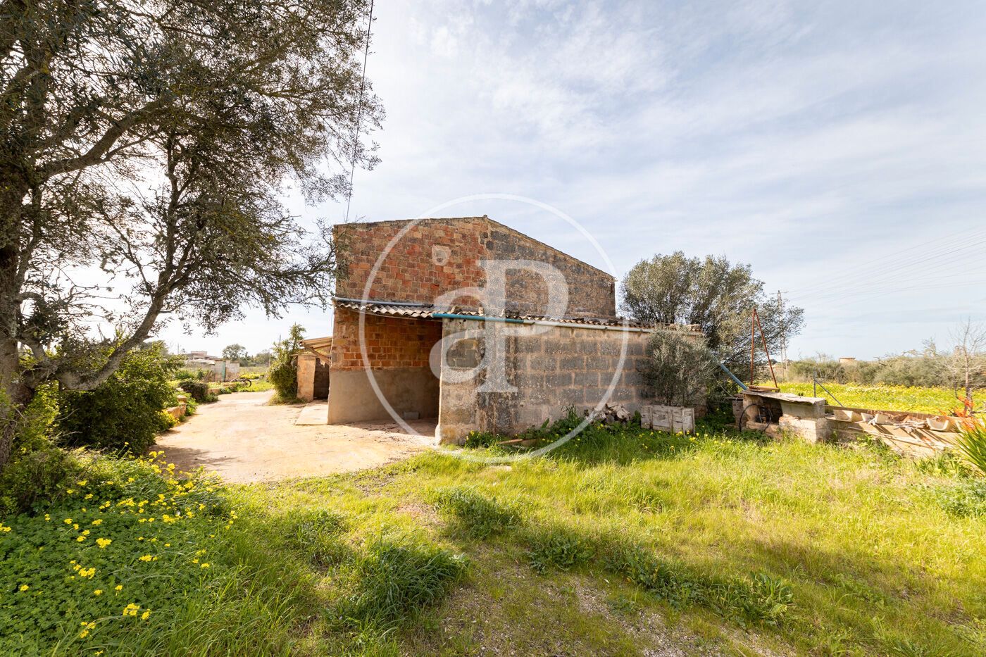 Finca rústica en venda en Campos amb Jardí privat i Traster