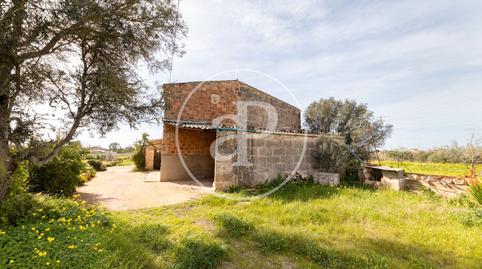 Foto 2 de Finca rústica en venda a Son Rego, Zona Rústica - Interior, Campos
