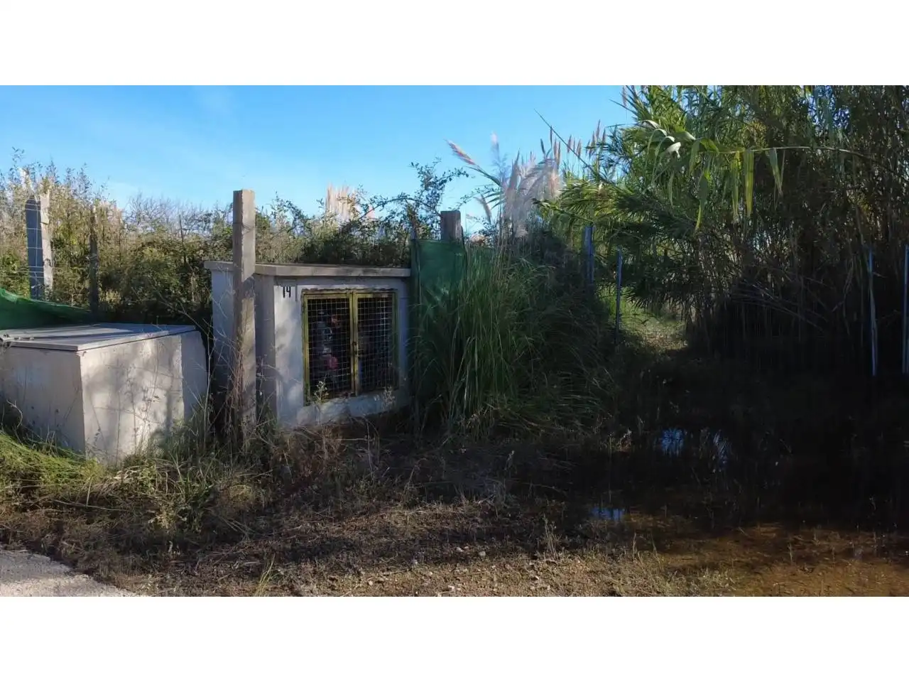 Terreno rústico en venta en Camino Séquia Nova 1, imagen 5