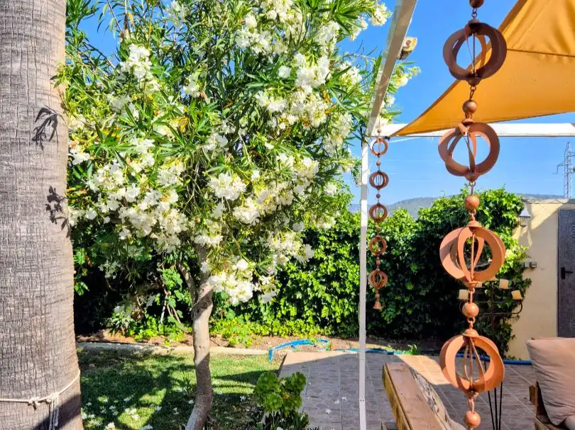 Jardí de Casa o xalet de lloguer en Sa Pobla amb Calefacció, Jardí privat i Terrassa