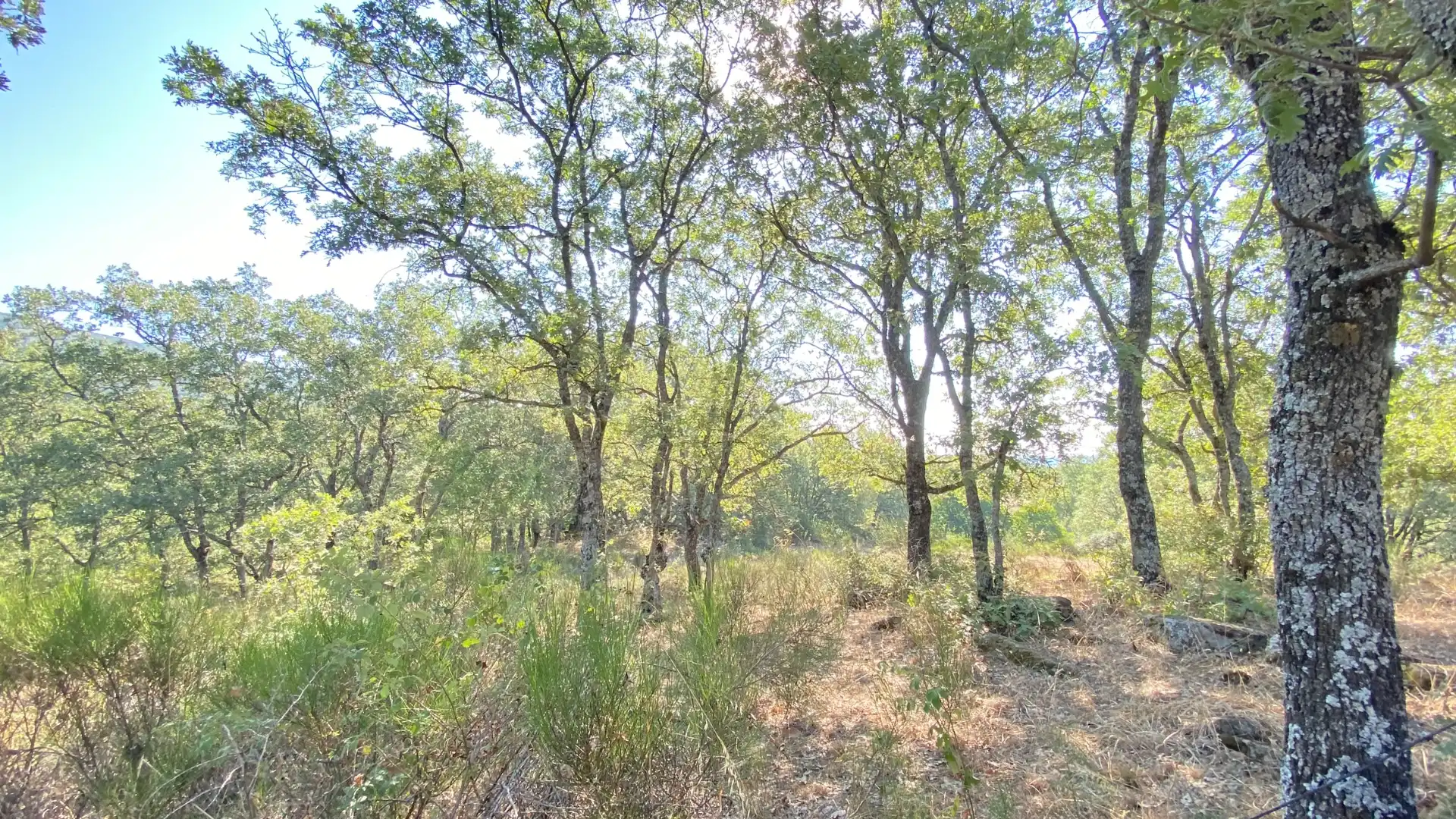 Terreni e lotti in vendita a Gargüera, imagen 8